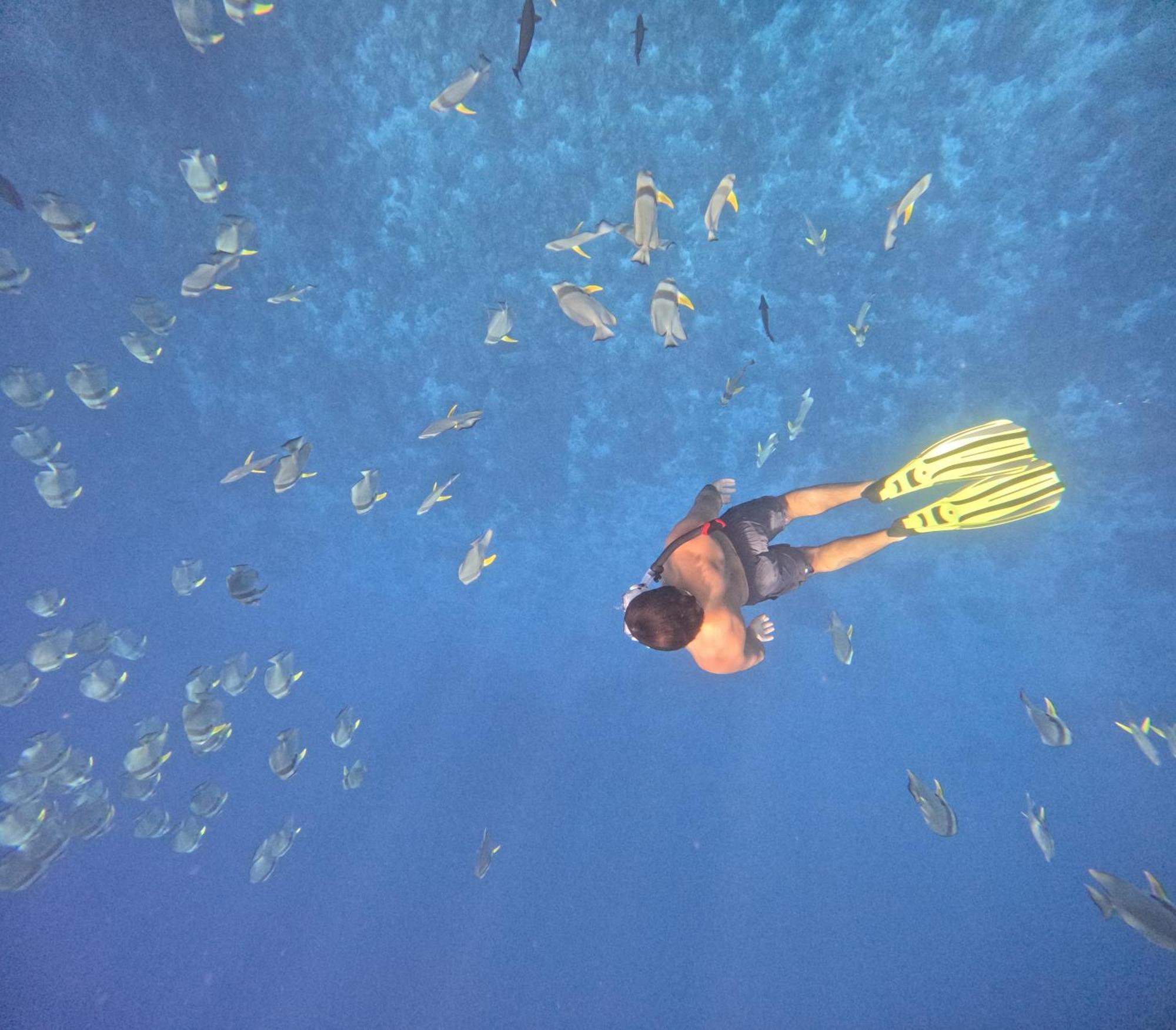 Fiyavalhu Resort Maldives Mandhoo Dış mekan fotoğraf